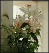 DSCN4238.JPG