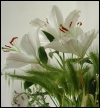 DSCN4239.JPG