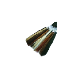 Muster1a.tif